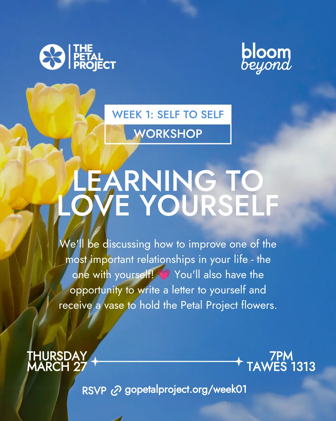 6 Week Workshops