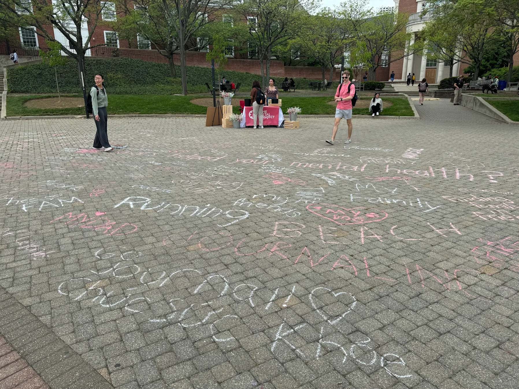 Students at a Petal Project booth