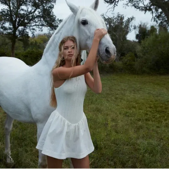 Rodeo Renaissance mood image