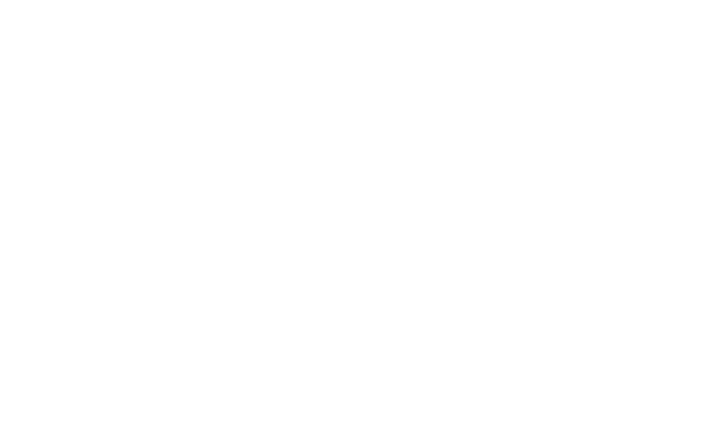 Student Entertainment Events logo